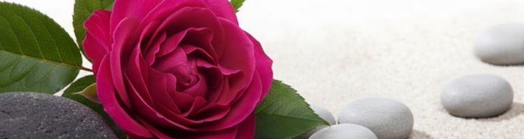 Illustration de l'activité Soins énergétiques chinois (LaHoChi)